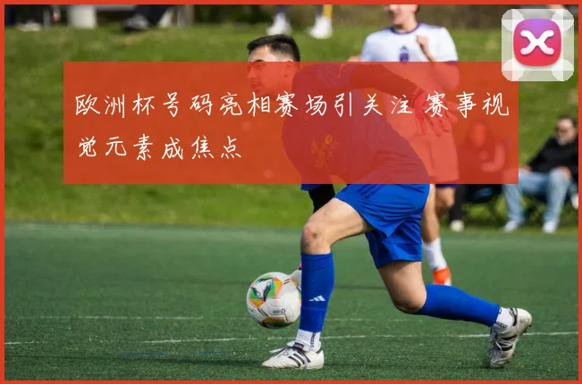 欧洲杯号码亮相赛场引关注 赛事视觉元素成焦点