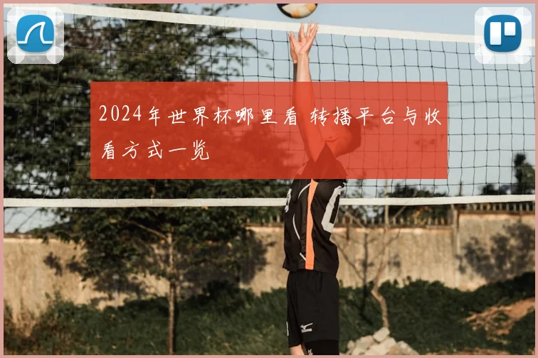 2024年世界杯哪里看 转播平台与收看方式一览